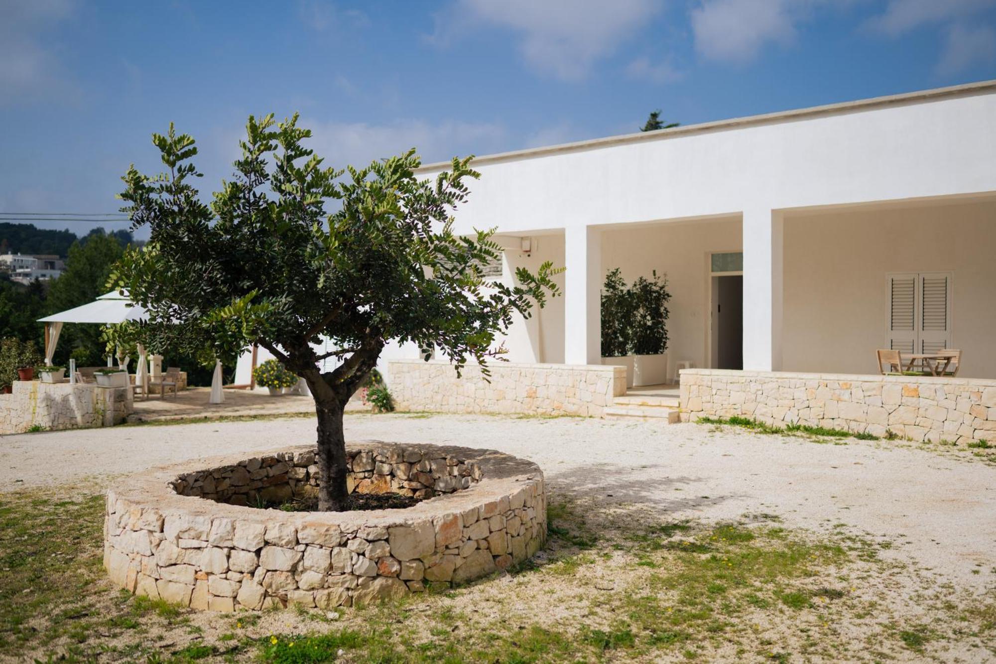 فيلا Trulli Magda مارتينا فرانكا المظهر الخارجي الصورة