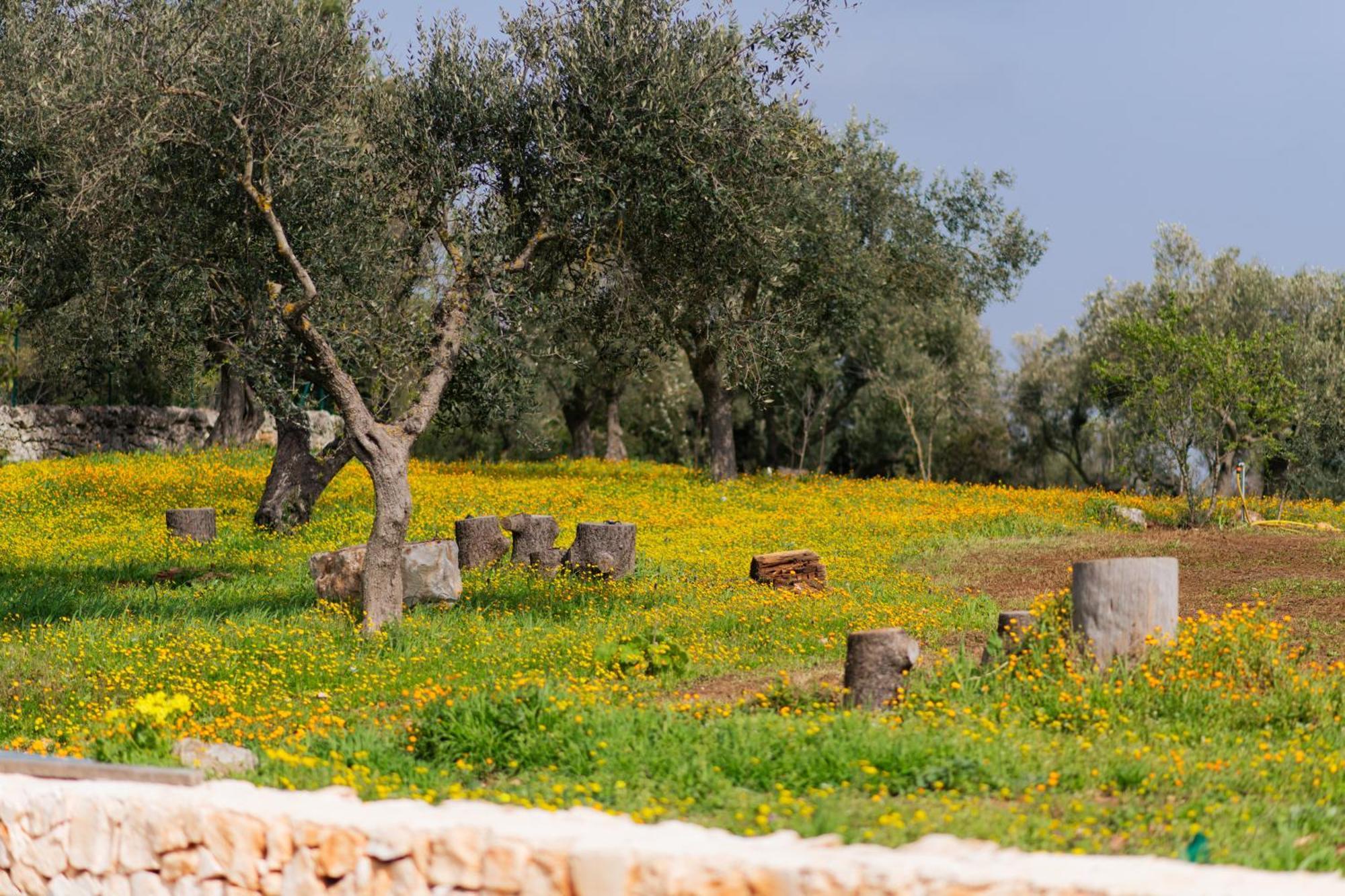 فيلا Trulli Magda مارتينا فرانكا المظهر الخارجي الصورة