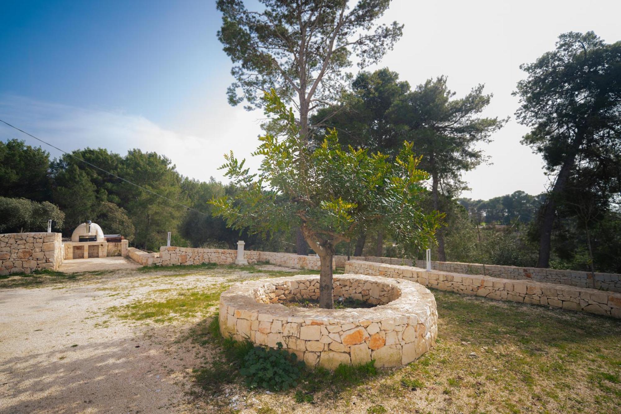 فيلا Trulli Magda مارتينا فرانكا المظهر الخارجي الصورة