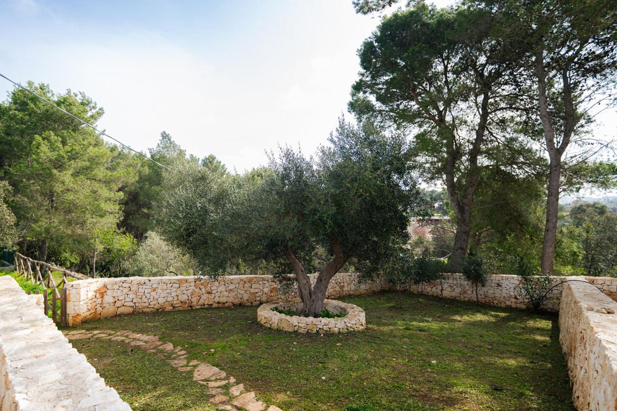 فيلا Trulli Magda مارتينا فرانكا المظهر الخارجي الصورة