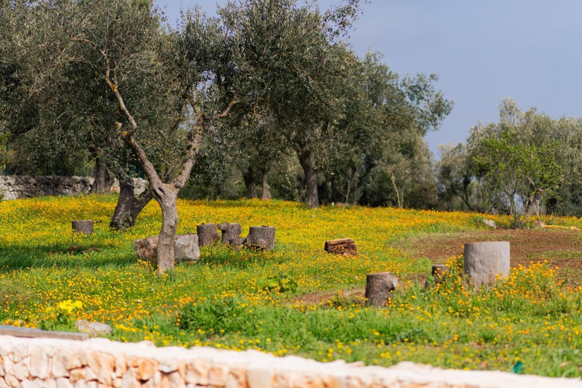 فيلا Trulli Magda مارتينا فرانكا المظهر الخارجي الصورة